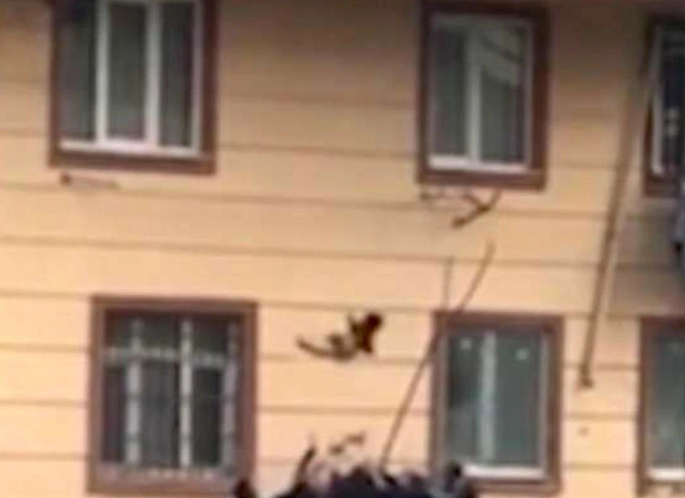 Schrecksekunde: Das Kind (3) fällt, die Nachbarn fangen es mit einem Bettuch auf!