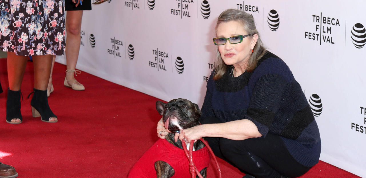 Heute.at - Hund von Carrie Fisher wird zum Star Wars Alien