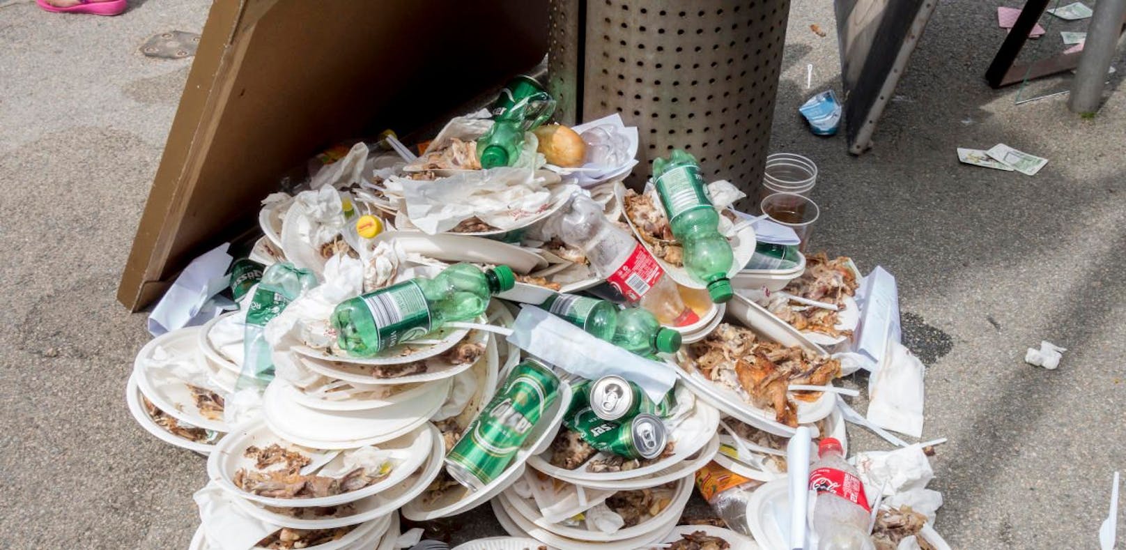 Müll trennen sei zwar löblich, der nicht sonderlich Effektiv, meint Umweltberater Tristan Jorde.