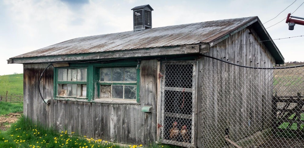 Ein alter und leerer Hühnerstall diente einem 16-Jährigen als Versteck für sein Diebesgut. Symbolbild.