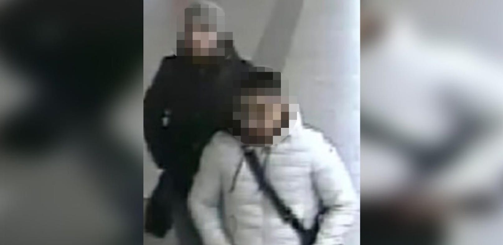 Nach der Veröffentlichung der Lichtbilder meldete sich ein 21-jähriger Österreicher bei der Polizei.