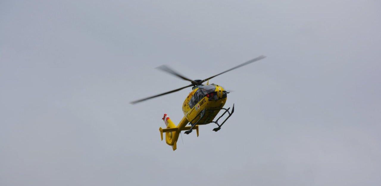 Heute.at - Hund beißt Bub (3) - per Helikopter ins Spital