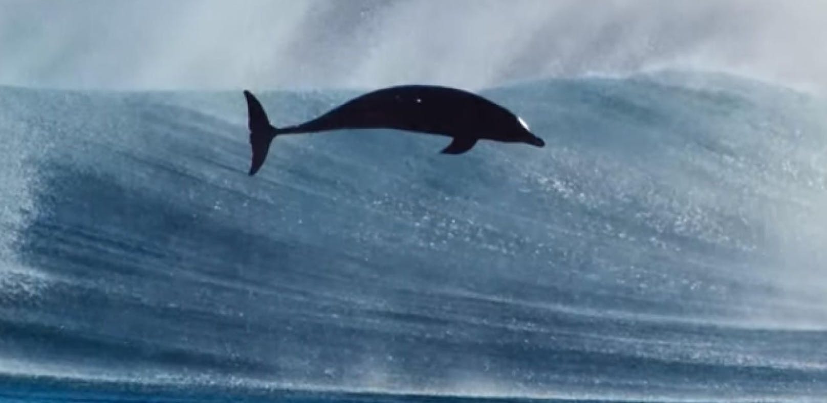 "Blue Planet II": BBC zeigt eindrucksvolle Ozean-Doku
