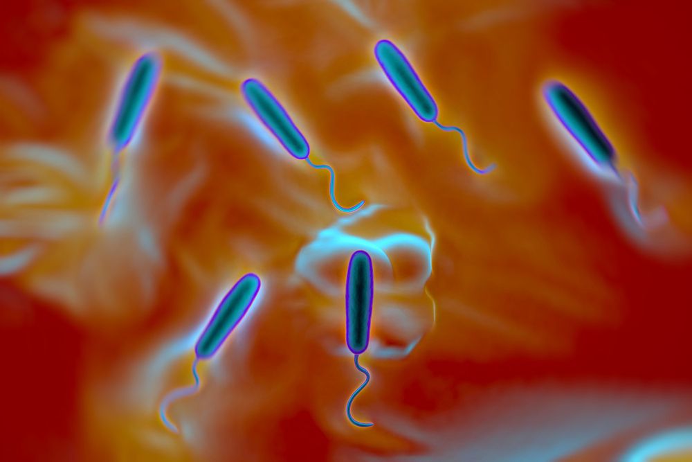 Heute.at - Forscher entdeckten Resistenz gegen Cholera