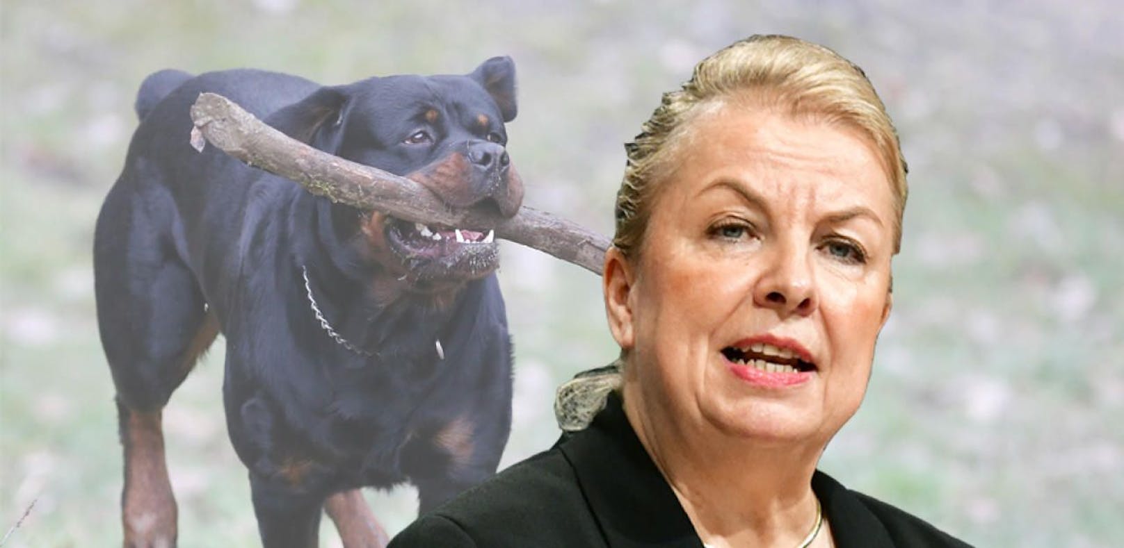 Hartinger-Klein will strengere Gesetze für Hunde-Halter.