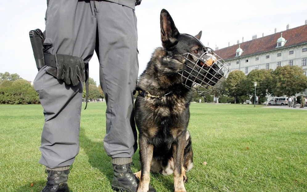 Der Polizist verkaufte Drogen, die sein Hund gefunden hatte.