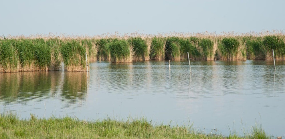 Burgenland, Rust am Neusiedler See.