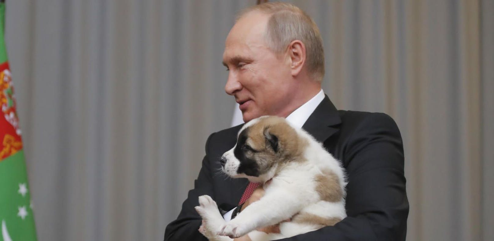 Geburtstags-Geschenk: Putin knuddelt Welpen