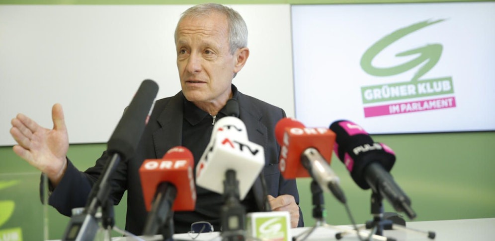 Grünen-Fraktionsführer im U-Ausschuss, Peter Pilz 