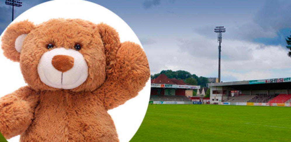 Das Stadion in Steyr soll per Verlosung einen neuen Namen erhalten.