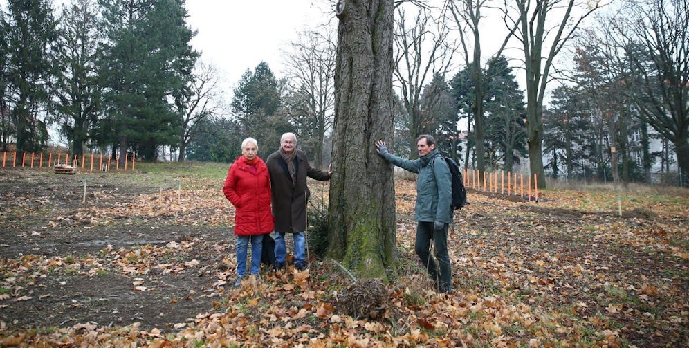 I. Erkinger, P. Hancvencl und K. Wechselberger (v.l.). 