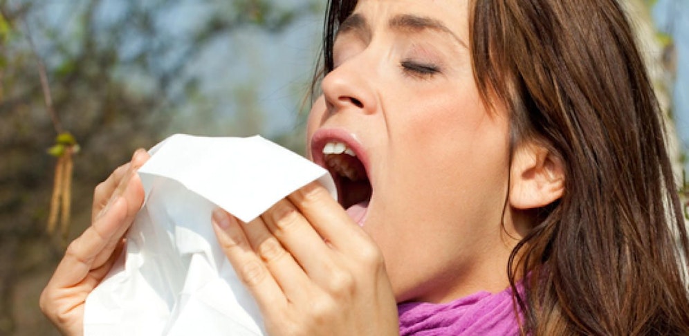 Gesundheit! Wiener Forscher erstellten nun einen europäischen Allergieatlas.