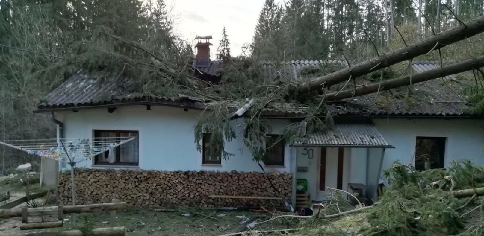 Sturm schleuderte Bäume  auf Wohnhaus und Pkw