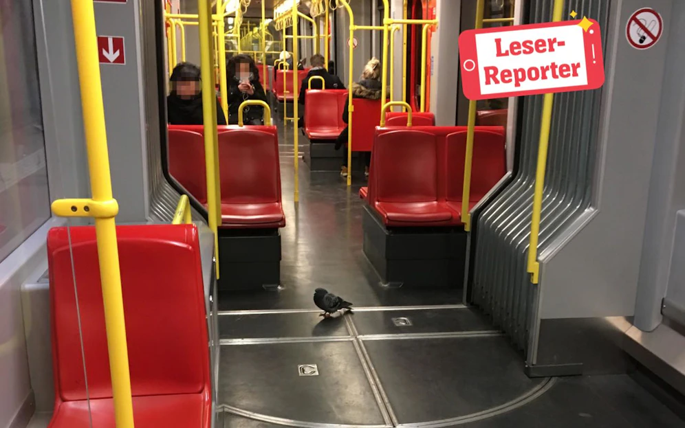 Auf dem Weg in Richtung Floridsdorf. 