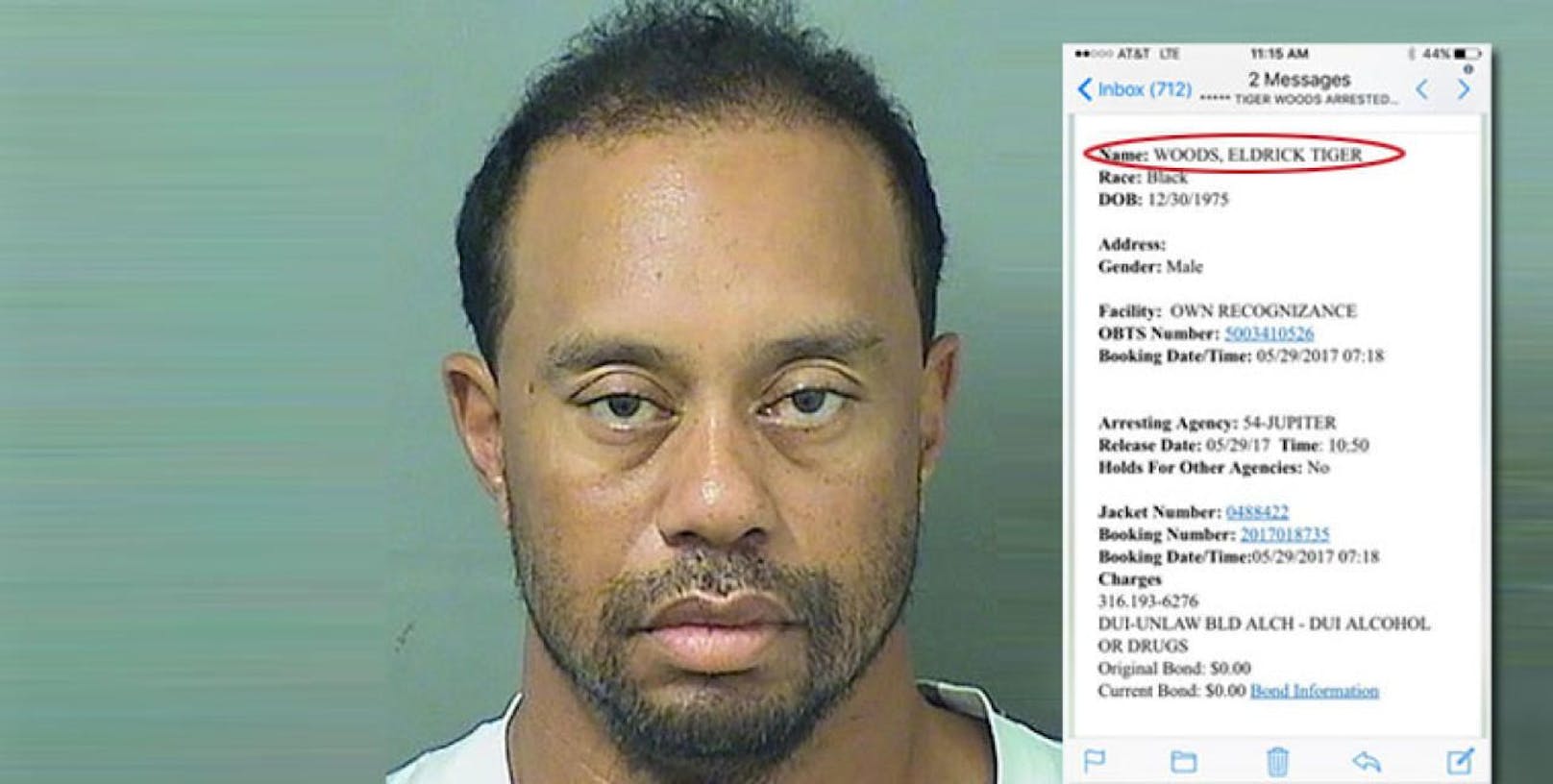 Tiger Woods verhaftet