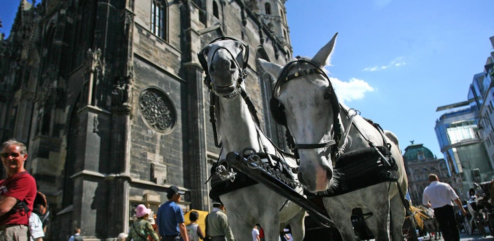 Die Fiaker sollen vor 11 Uhr Fahrgäste aufgenommen haben.