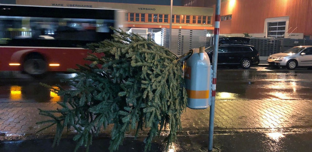 So sollte der Christbaum nicht entsorgt werden!