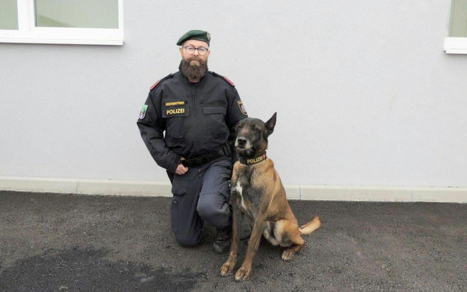 Polizeihund "Groll" spürt abgängigen Mann auf