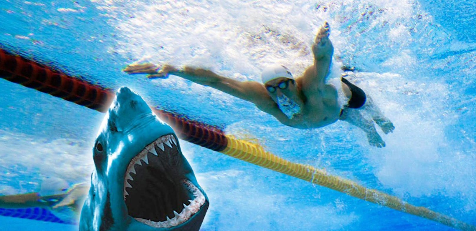 Brutal! Phelps schwamm gegen einen Weißen Hai