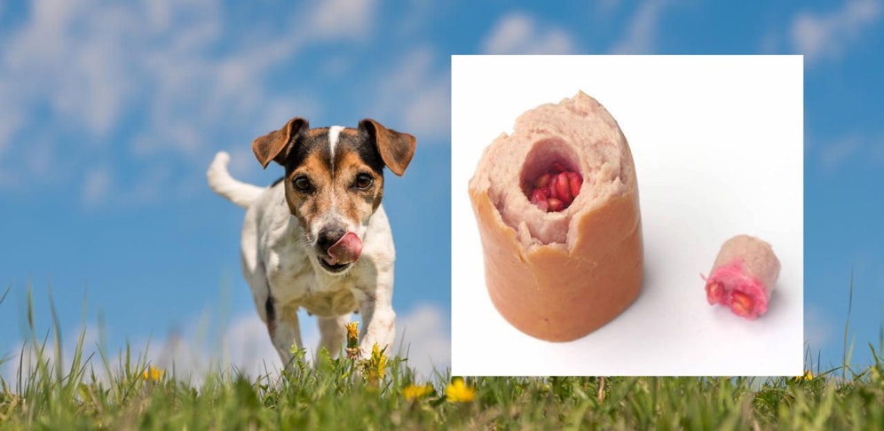 Diese Knackwurst (re.) wurde am Wochenende in Gablitz gefunden. 
