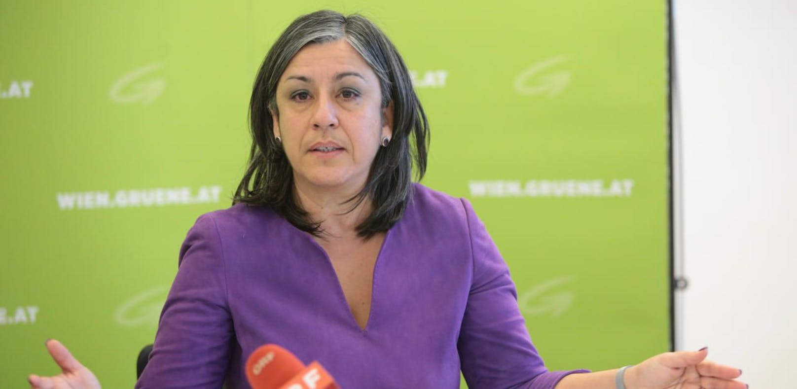 Vizebürgermeisterin Maria Vassilakou (Grüne) stellte eine City-Maut ab der Stadtgrenze zur Diskussion.