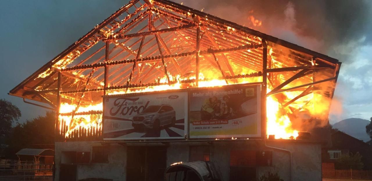 Heute.at - Pferde fliehen aus brennendem Stall