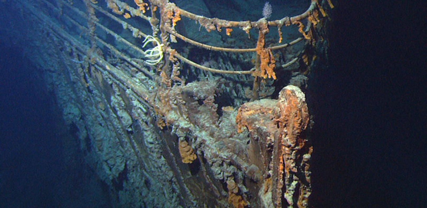 Hungrige Bakterien fressen "Titanic" auf