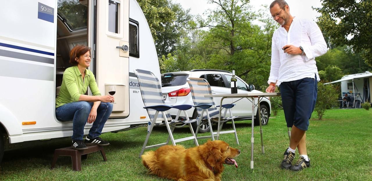 Heute.at - Camping mit dem Hund - das muss man wissen