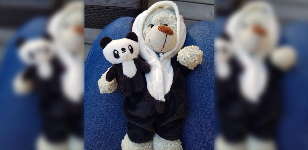Der kleine Teddy wird von seiner 5-jährigen Besitzerin vermisst. 