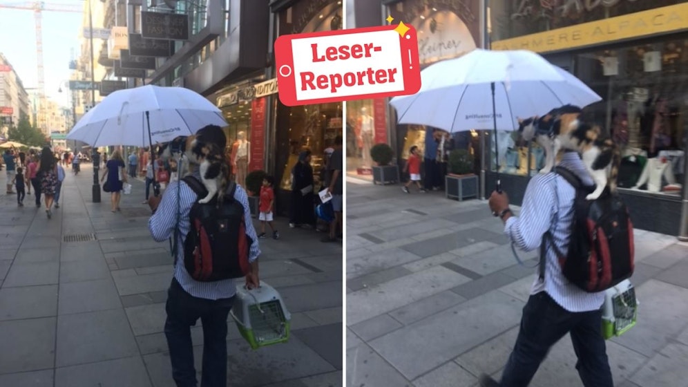 Ein gemütlicher Spaziergang in der Wiener City. 