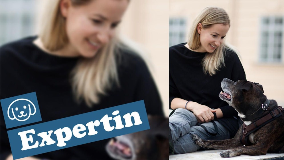 Petra Frey ist tierschutzqualifizierte Hundetrainerin und Verhaltensberaterin. 2012 gründete sie Hundeschule DogDialog in Wien. 