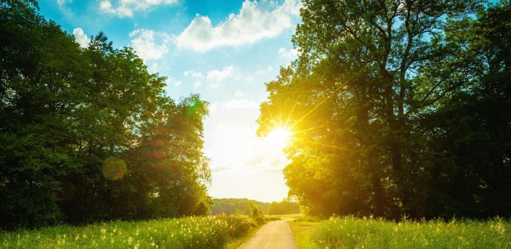 Der April war der wärmste seit 200 Jahren.