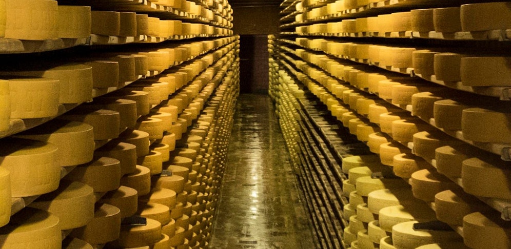 Insgesamt neun Musikrichtungen werden für das Experiment verwendet ? von Mozarts "Zauberflöte" über Led Zeppelins "Stairway To Heaven" bis hin zu Hip Hop.