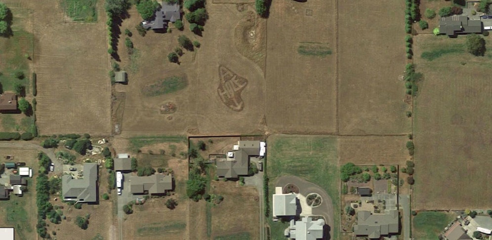 Der Nachbar mähte die wüste Botschaft ins Feld, so dass sie nur von oben sichtbar ist.