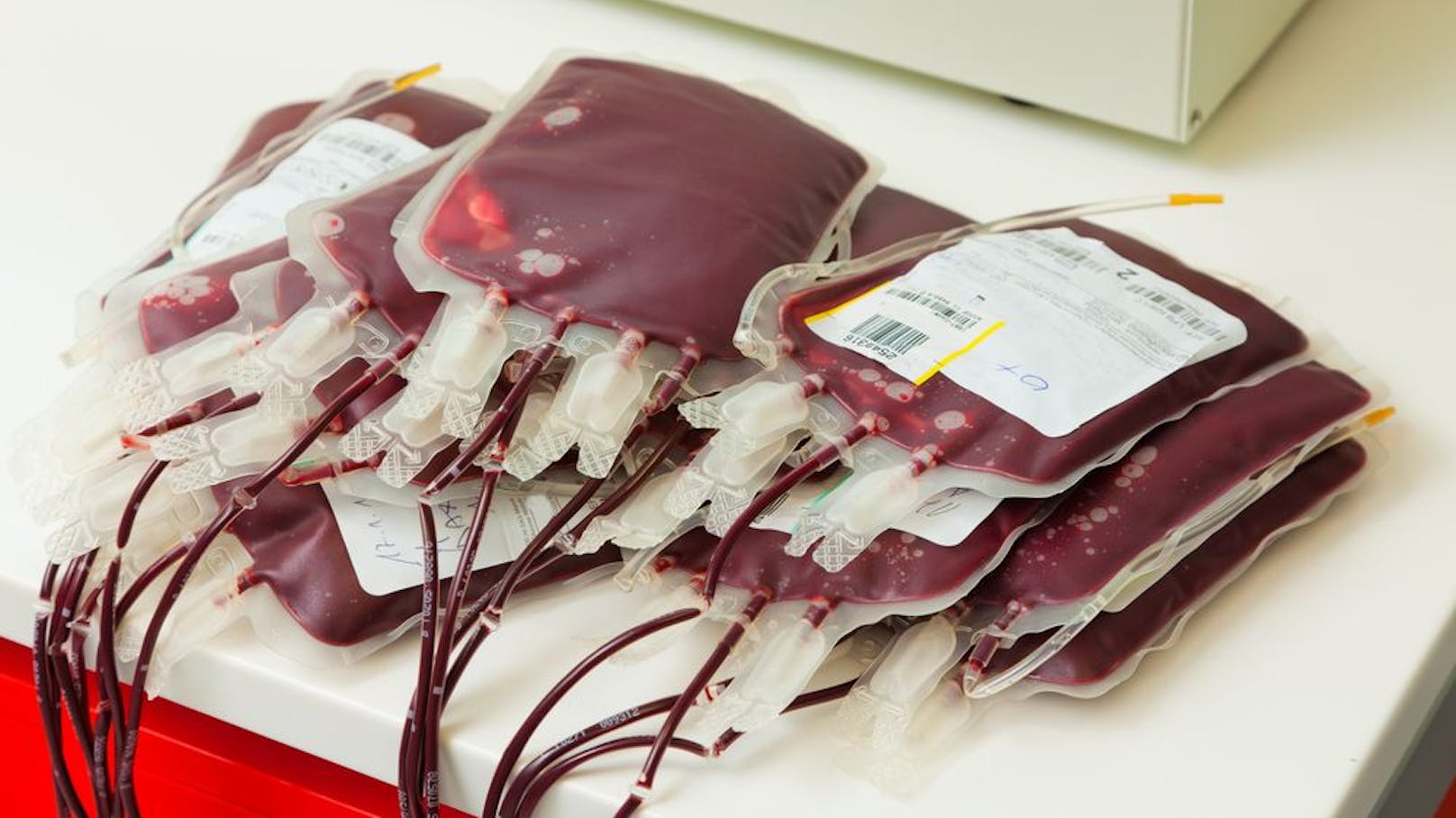 Blutkonserven sind maximal 42 Tage haltbar.