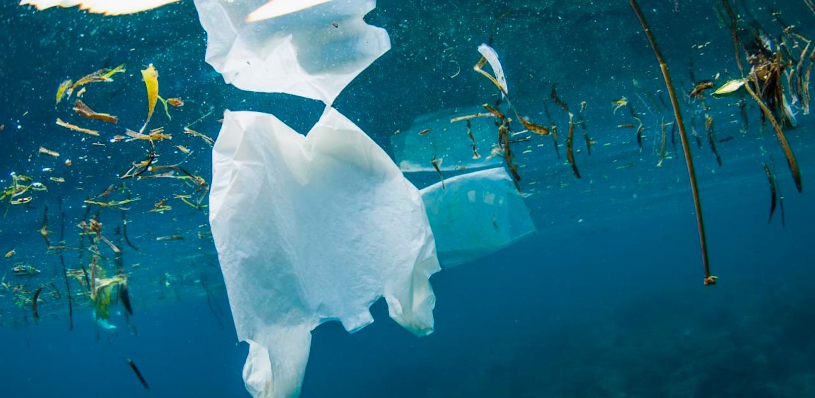 Plastikmüll aus den Weltmeeren könnte künftig zu Socken umgewandelt werden. 