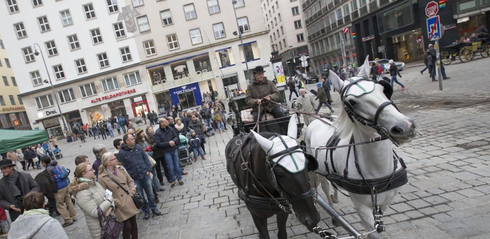 Fiaker vor dem Stephansdom im ersten Bezirk in der Wiener City.