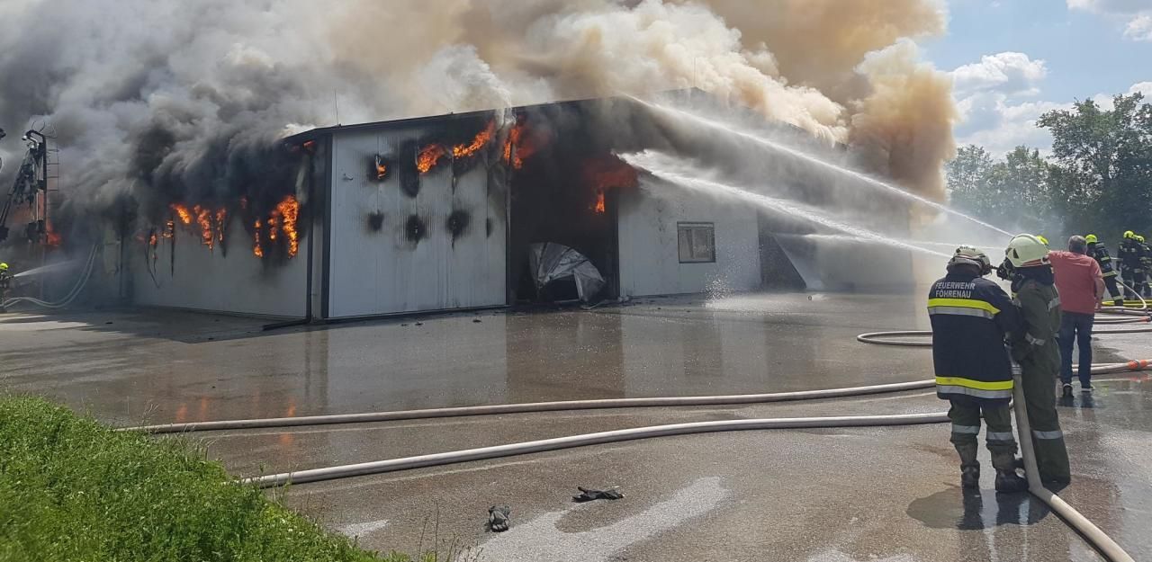 Heute.at - Nach Brand: Mahnwache für 40.000 tote Hühner