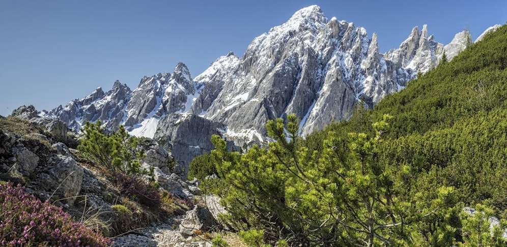 Ein Achtjähriger ist bei einer Wanderung im Südtiroler Pustertal ums Leben gekommen. 