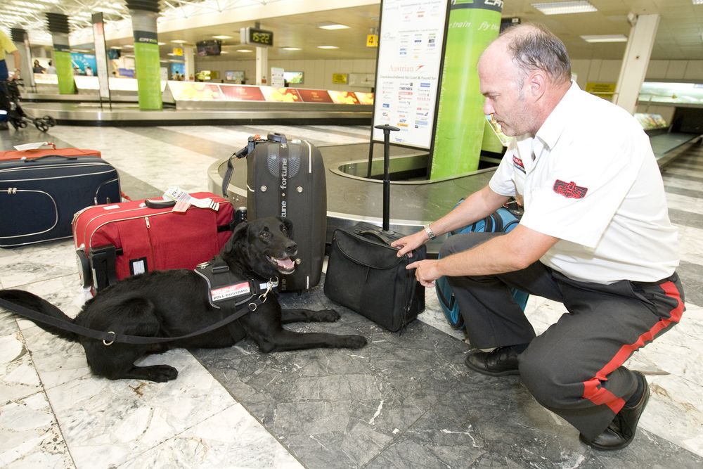 Für die Mitnahme von Souvenirs aus dem Urlaub gelten mitunter strenge Regeln.