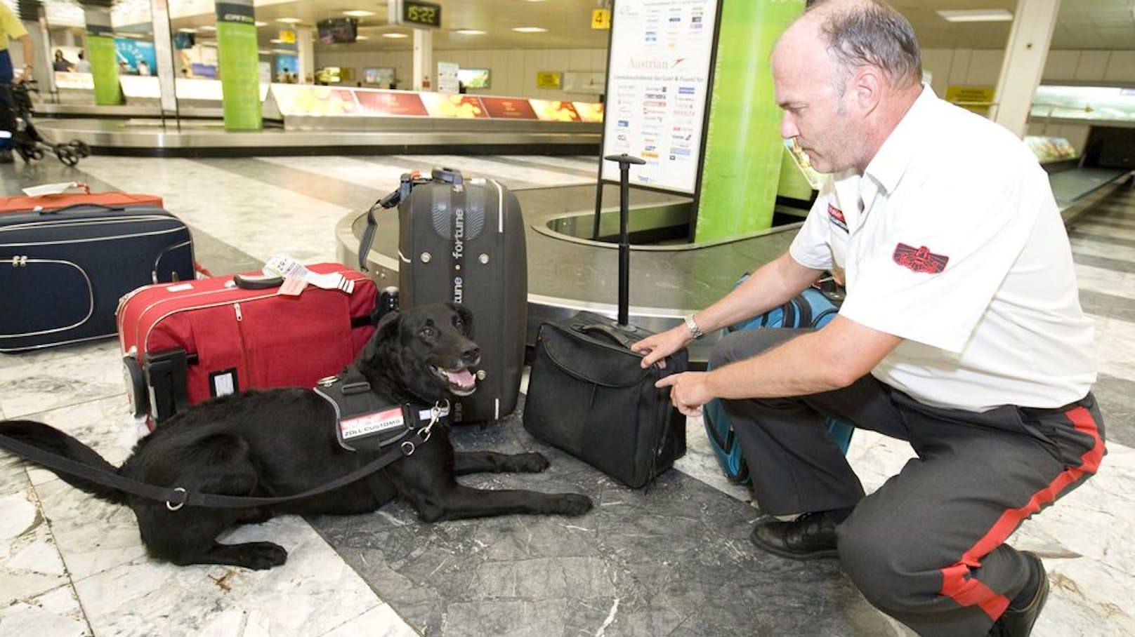 Zollfalle im Urlaub: Für diese Souvenirs drohen Strafen