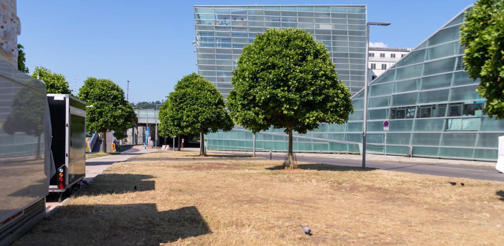 Die Wiese beim Linzer Ars Electronica Center ist komplett ausgedörrt.