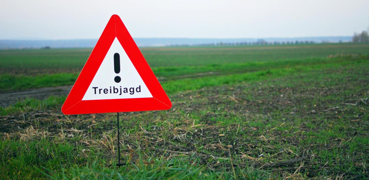 Heute.at - Jäger will Hasen erlegen, trifft aber anderen Jäger