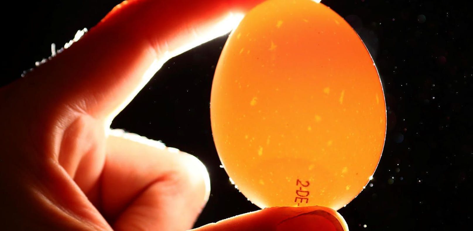 Experiment beweist: Eier haben in der Mikrowelle nichts zu suchen!