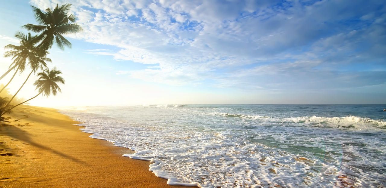 Heute.at - Hektik und Stress sind auf Sri Lanka weit weg