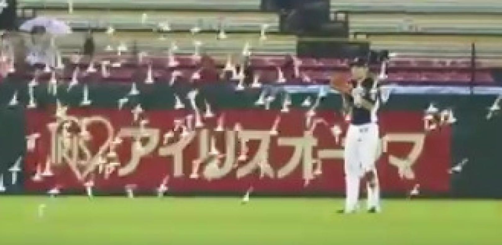 Lästiger Vogelschwarm crasht Baseball-Spiel