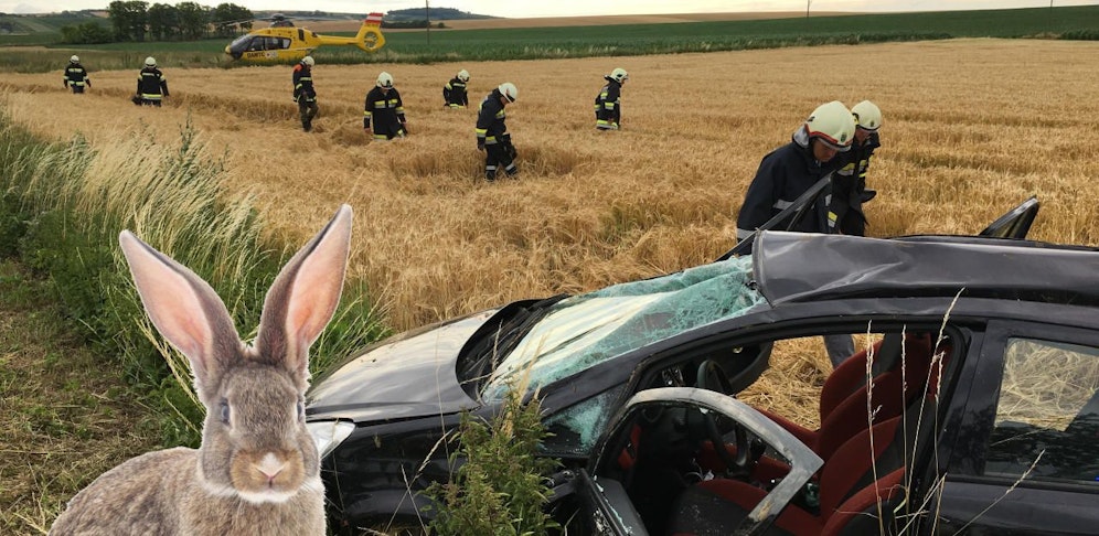 Ein Hase sorgte für ordentlichen Schaden.