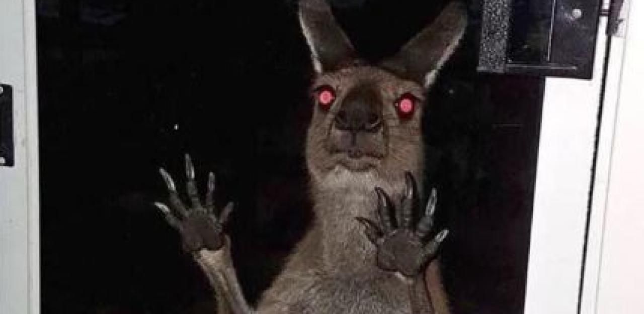 Heute.at - 8 gruselige Bilder, die dich erschauern lassen