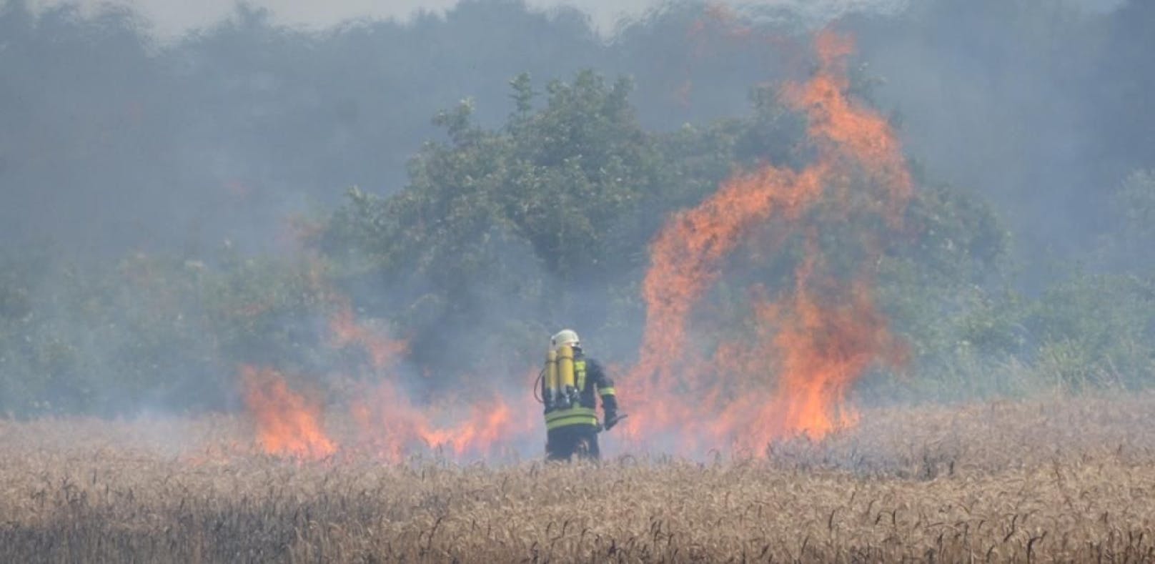 Großes Feld in Flammen: 5 Feuerwehren im Einsatz