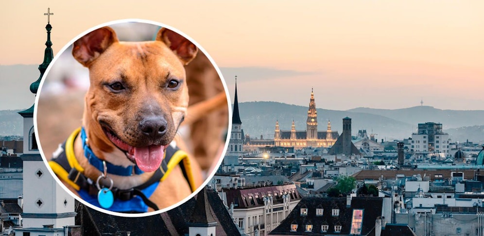 Die Novelle sorgt für Diskussionen.